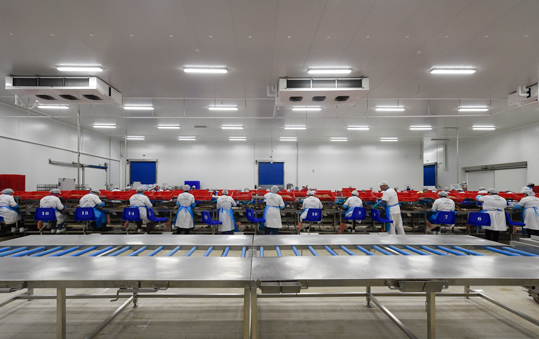 Civis Global vén de finalizar a obra que permitiu que Marfrío e Atunlo inauguraran en tempo récord unha factoría con 14.000 m2 de superficie no parque empresarial do Fulao (Vila Nova de Cerveira).