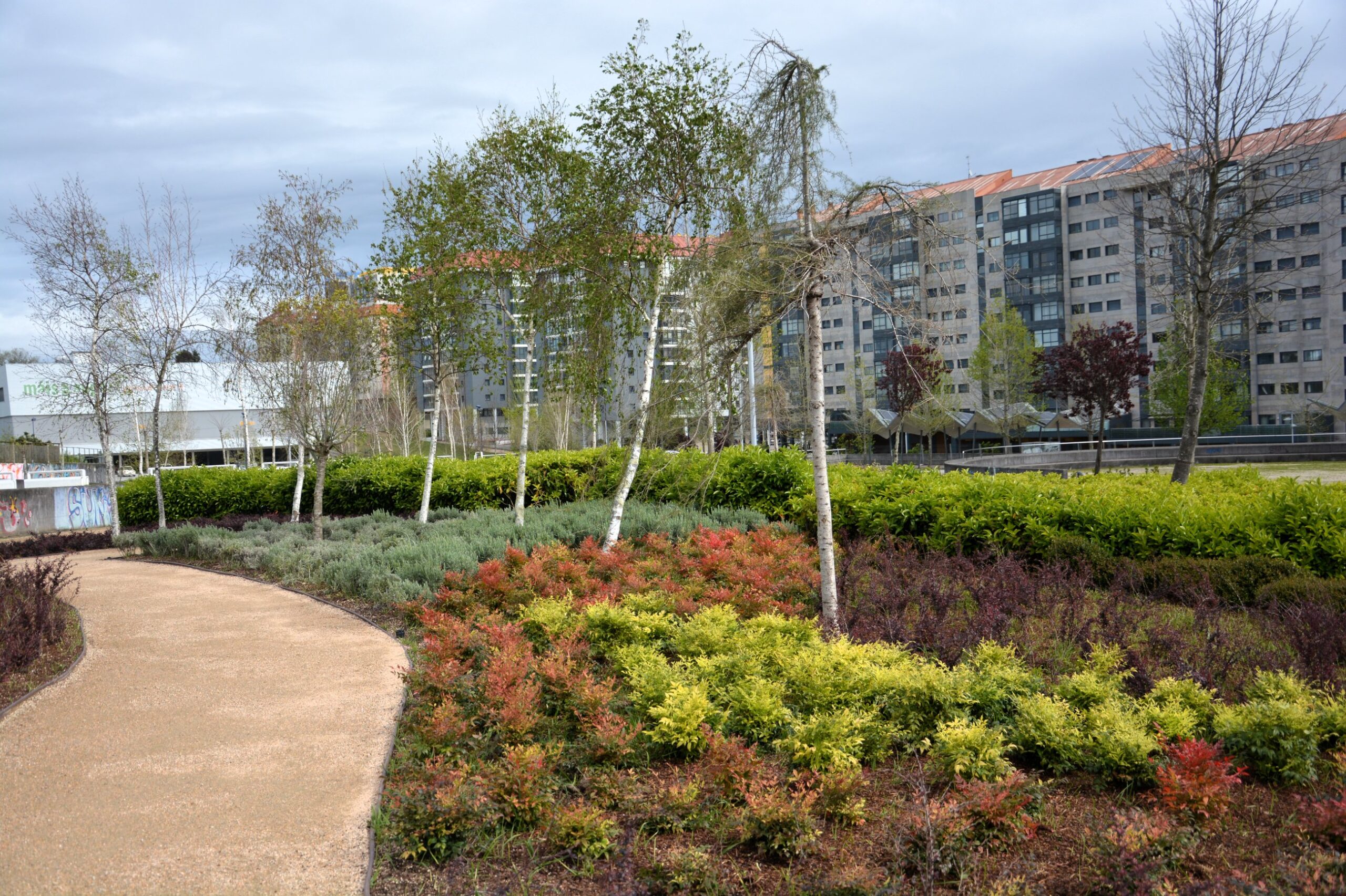 Vista de un parque con un camino, plantas y árboles y los edificios al fondo