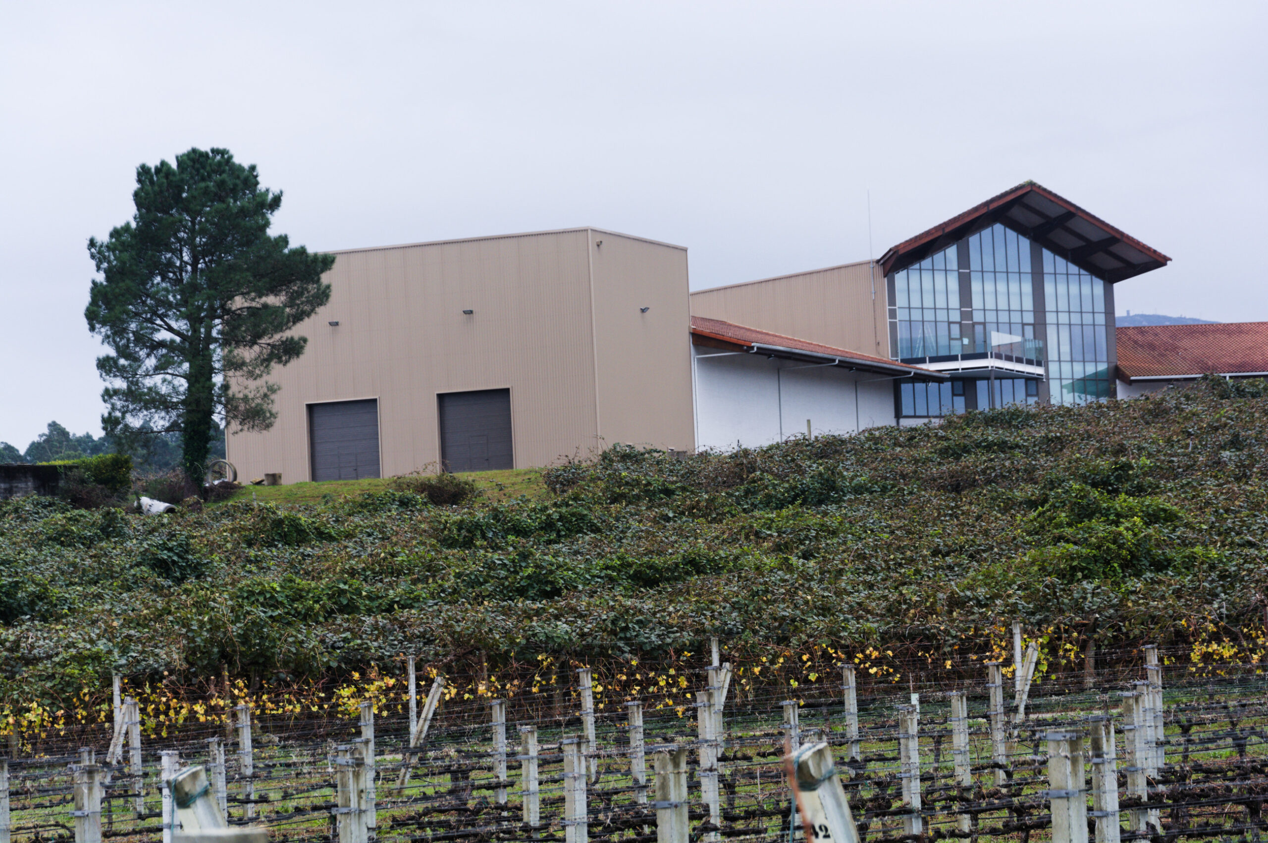 Vista exterior de la bodega Santiago Ruiz en Tomiño