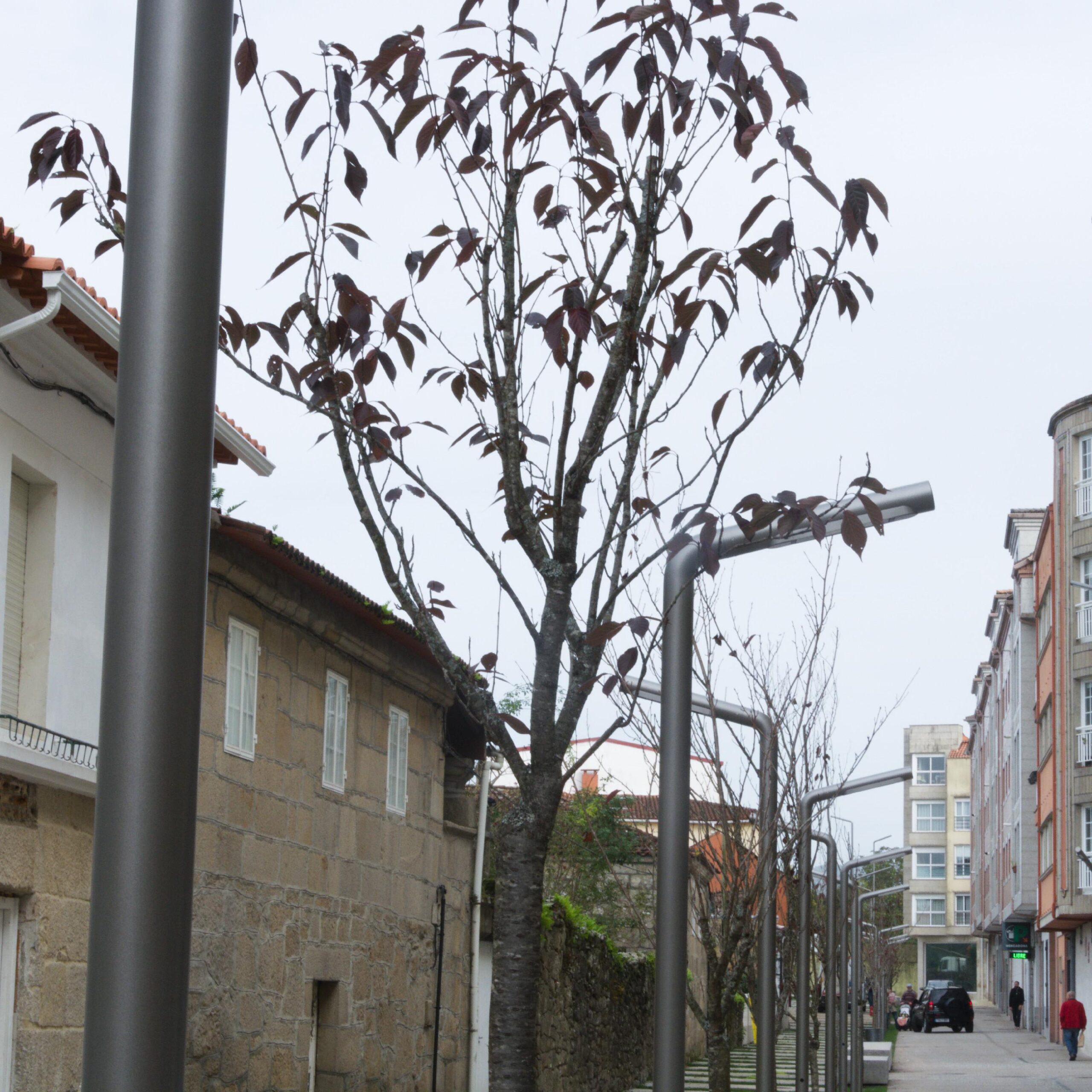 2 farolas arboles