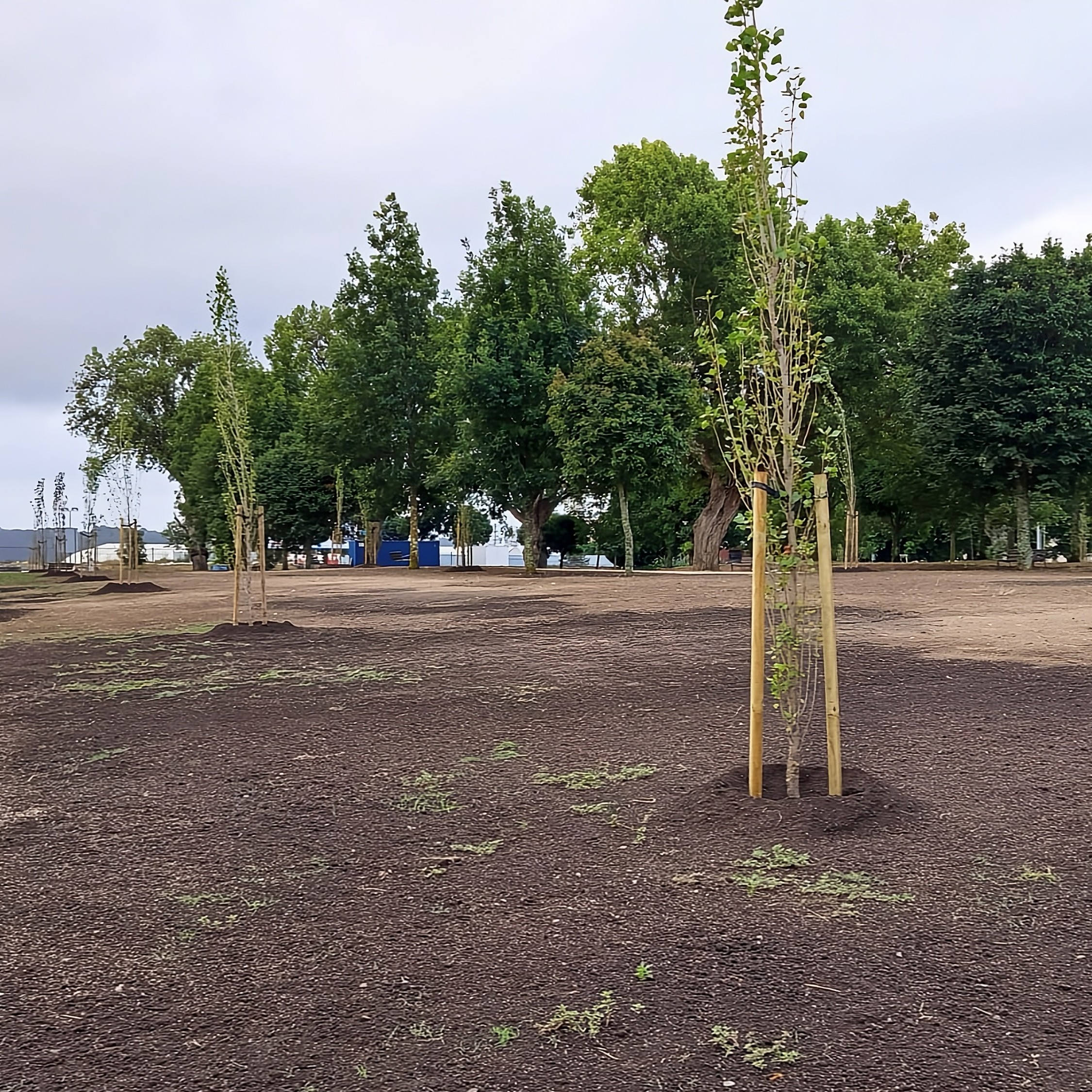 Edit nueva plantacion